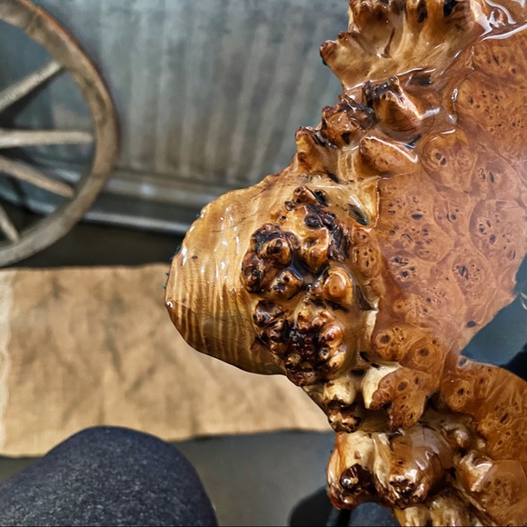 Birds Eye Maple Burl Wood Slab Raw Edge Lab Painting Varnish Wall Art Oregon - Picture 11 of 12